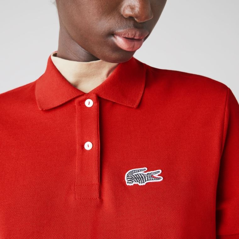 Lacoste x National Geographic Bomull Piqué Polo Shirt Kjoler Rød Hvite | ZMQ6oyad