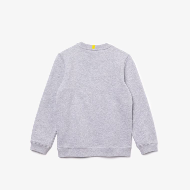 Lacoste x National Geographic Fleece Sweatshirt Grå Hvite | CthL0OO2