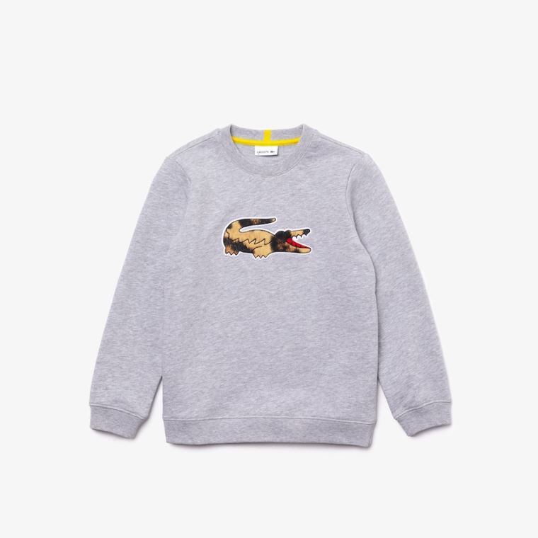 Lacoste x National Geographic Fleece Sweatshirt Grå Hvite | CthL0OO2