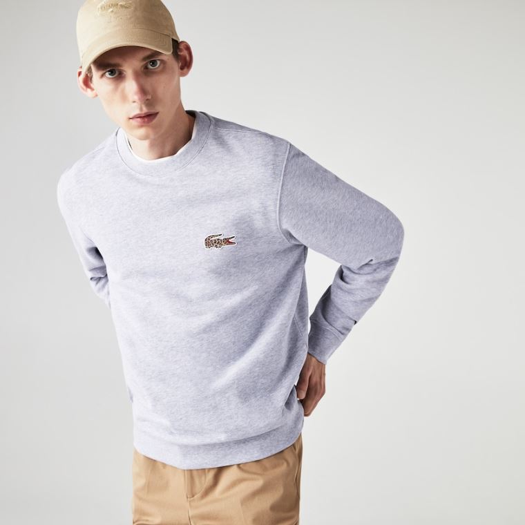 Lacoste x National Geographic Organic Bomull Sweatshirt Grå Hvite | bSZUDnGX