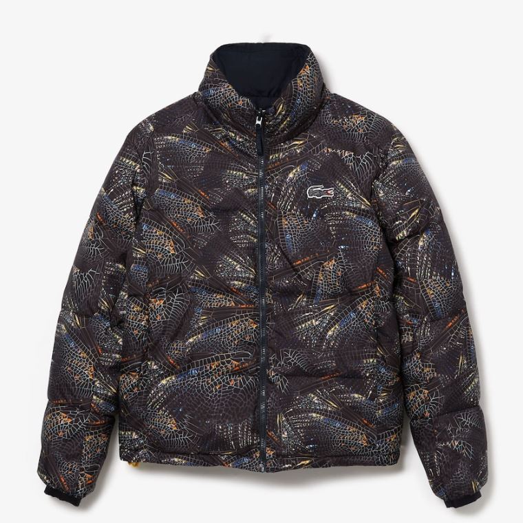 Lacoste x National Geographic Print Quilted Jacket Hvite Marineblå Blå | 0NuU8vzc