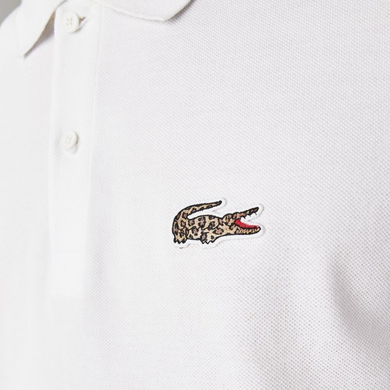 Lacoste x National Geographic Regular Fit Organic Bomull Polo Shirt Hvite | AmzZ4ac1