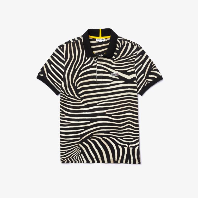 Lacoste x National Geographic Regular Fit Print Bomull Polo Shirt Oransje Marineblå Blå | GE5KMr32