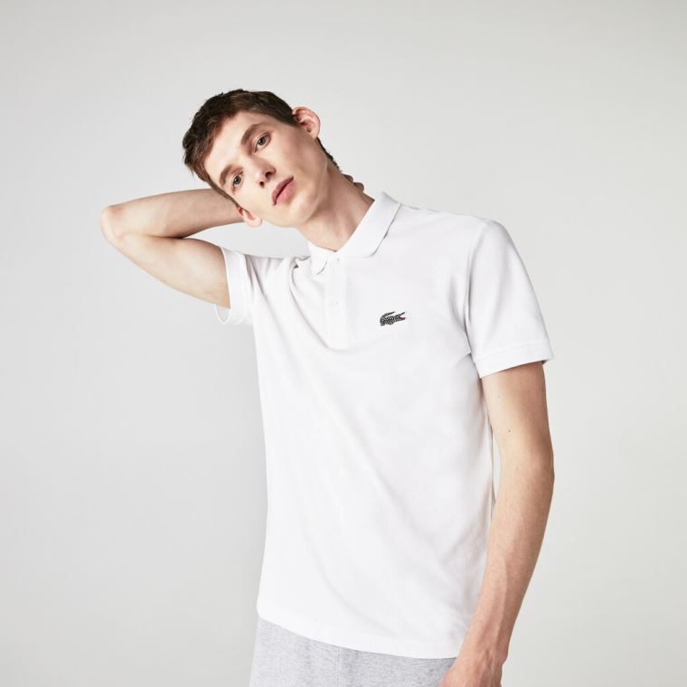 Lacoste x National Geographic Regular Fit Organic Bomull Polo Shirt Hvite | LPMFIHkf