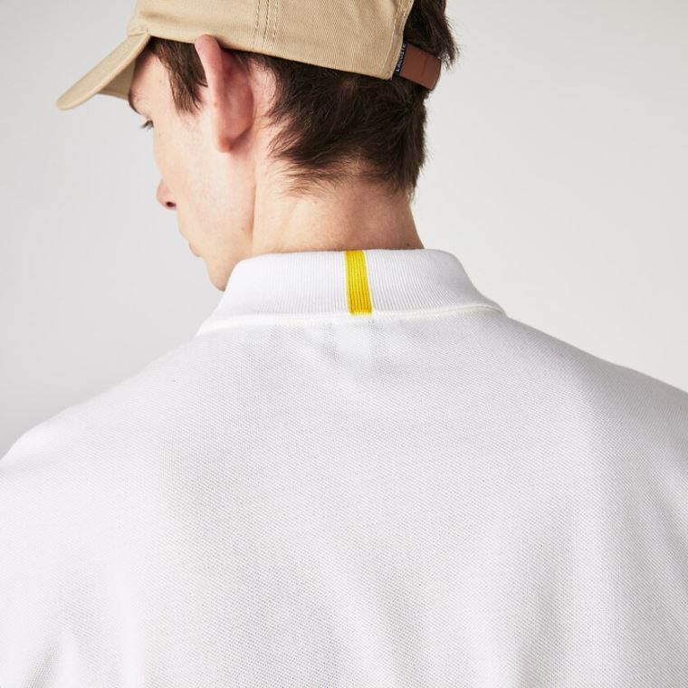 Lacoste x National Geographic Regular Fit Organic Bomull Polo Shirt Hvite | bTUjruiS