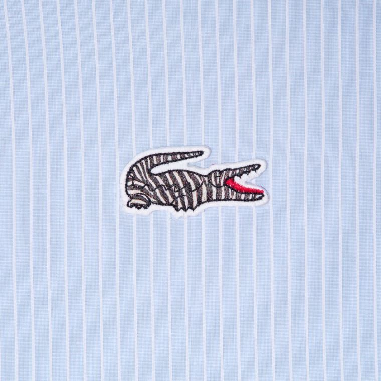 Lacoste x National Geographic Regular Fit Striped Bomull Shirt Blå Hvite | cL5s8av7