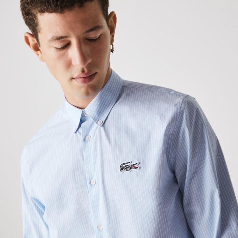 Lacoste x National Geographic Regular Fit Striped Bomull Shirt Blå Hvite | cL5s8av7