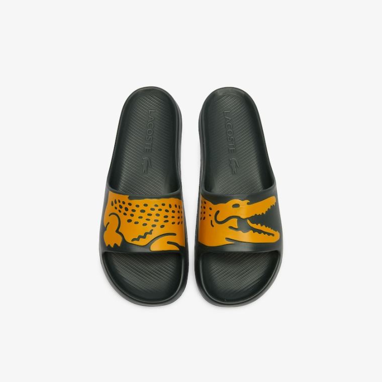 Lacoste x Ricky Regal Syntetisk Crocodile Slides Mørke Grønn Gul | 3JiVazrA