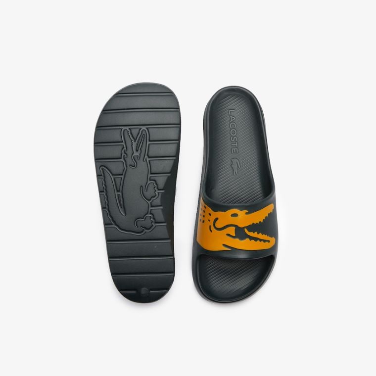 Lacoste x Ricky Regal Syntetisk Crocodile Slides Mørke Grønn Gul | 3JiVazrA