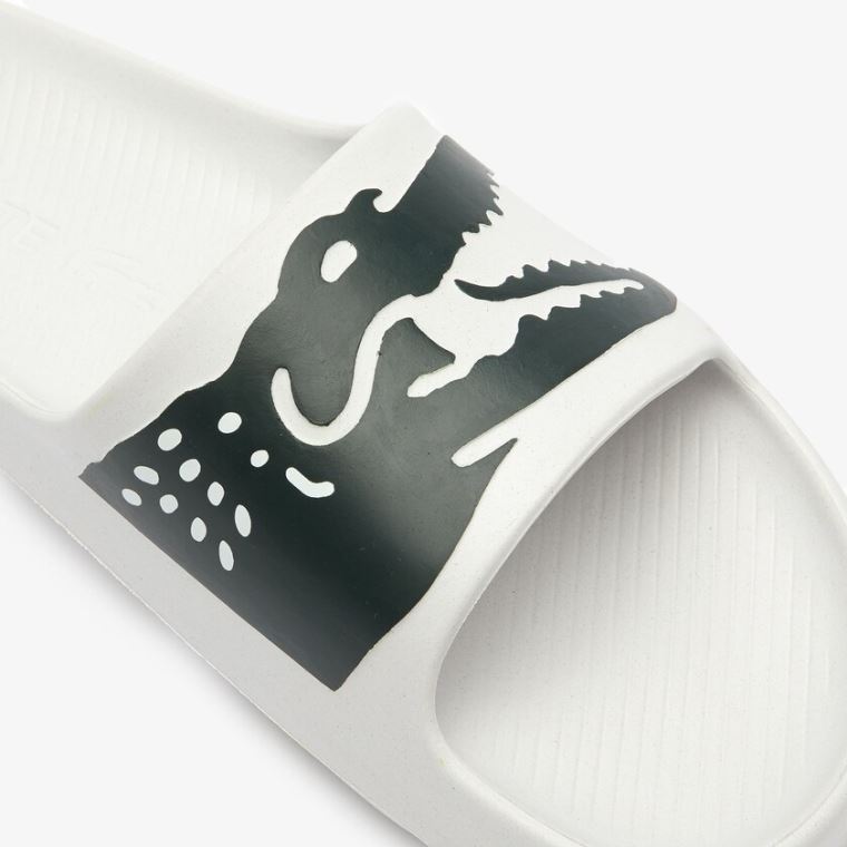 Lacoste x Ricky Regal Syntetisk Crocodile Slides Hvite Grønn | R9ZnpBc1